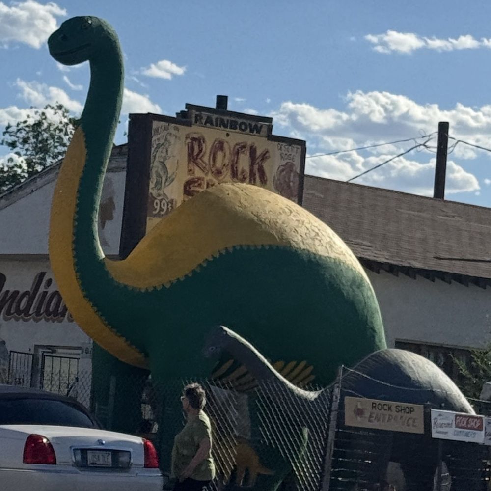 Dairy Queen Grill & Chill - Hello Dino - it's a vibe - Fast Food Near Me - Holbrook, Arizona