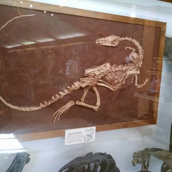 Lost World Caverns - Museums Near Me - Lewisburg, West Virginia