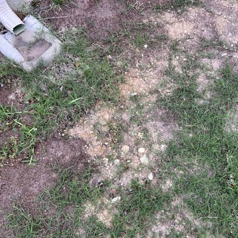 Purple Care - Lawn Care & Pest Control Fort Worth - Pest Control Near Me - Fort Worth, Texas Purple Care - Lawn Care & Pest Control Fort Worth - Pest Control Near Me - Fort Worth, Texas
