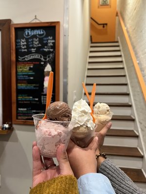 Mount Desert Island Ice Cream by null