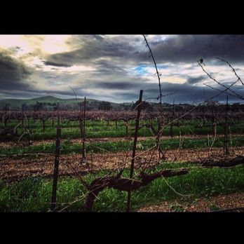 Firestone Vineyard - Wine Tasting Room Near Me - Los Olivos, California Firestone Vineyard - Wine Tasting Room Near Me - Los Olivos, California