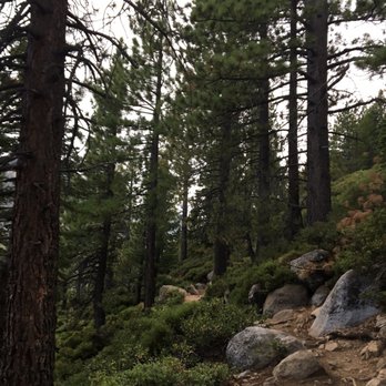 Cascade Falls - Hiking Near Me