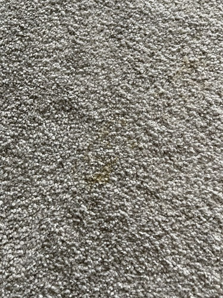 DOORS GALORE Updated August 2024 10 Photos & 10 Reviews 7410