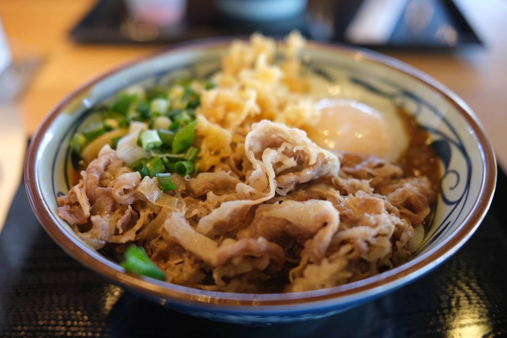 MARUGAME UDON 615 Photos & 270 Reviews 3450 E Hebron Pkwy