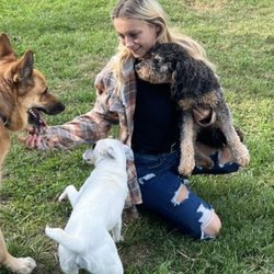 Dott's Place - One of our employees spending time with our daycare dogs