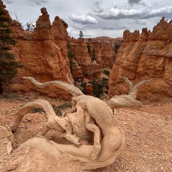 Bryce Canyon National Park - Parks Near Me Bryce Canyon National Park - Parks Near Me