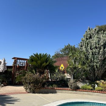 Master Tree Services - After tree gone - Tree Services Near Me