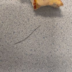 Dino's Pizza & Pasta - Metal wire in their pizza crust punctured my mouth, and when I called all they did was try to blame GrubHub.