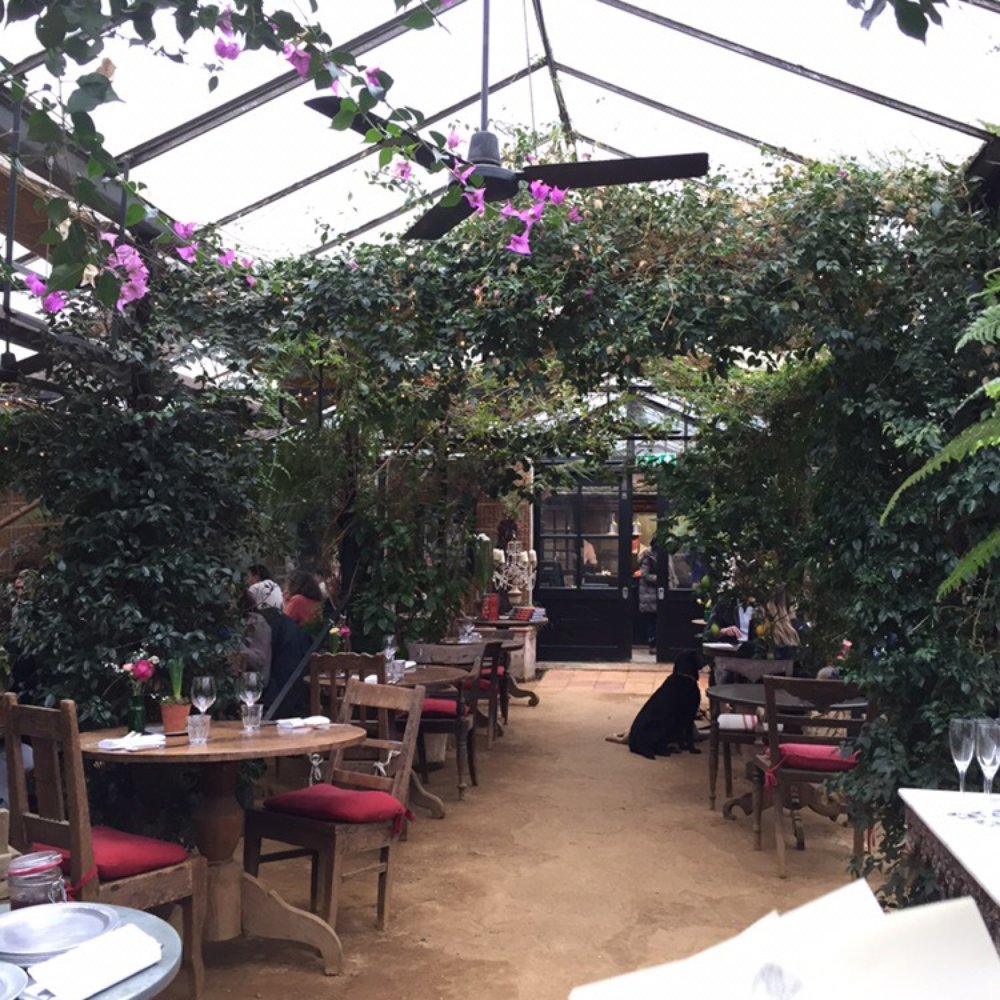 Petersham Nurseries Cafe & Teahouse - Inside - Coffee & Tea Near Me - Esher, XGL Petersham Nurseries Cafe & Teahouse - Inside - Coffee & Tea Near Me - Esher, XGL