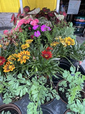 Farmers Market by null