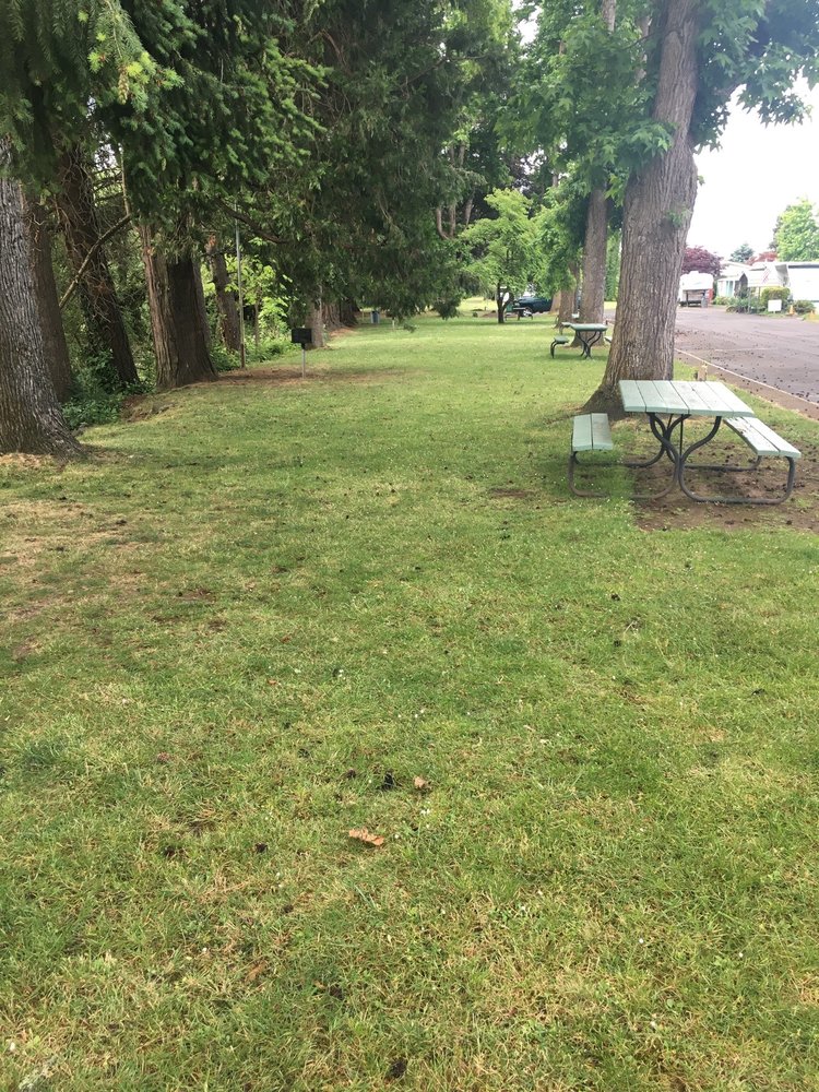 SHAMROCK VILLAGE Updated June 2024 4531 Franklin Blvd, Eugene