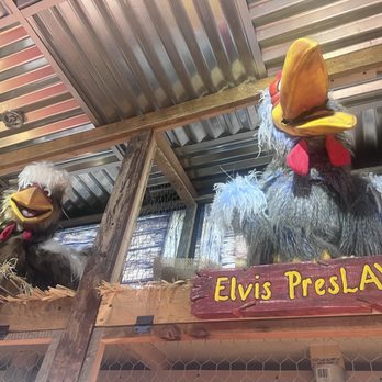 Frizzle Chicken Cafe - Chickens - Breakfast & Brunch Near Me - Pigeon Forge, Tennessee