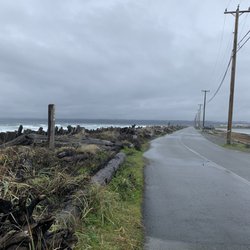 Goose Spit Regional Park - Relaxing path even with strong winds