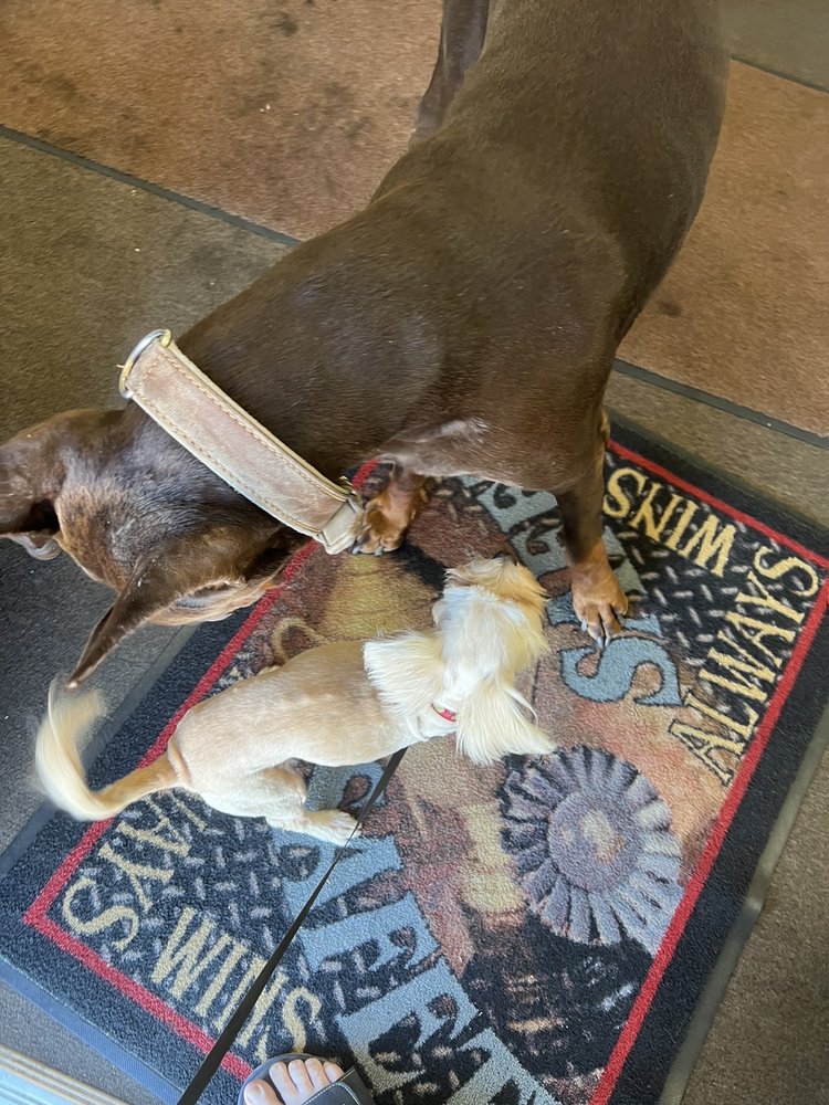 AUTO FOR LESS 34 Reviews 623 W Inyokern Rd, Ridgecrest, California