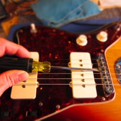 Michael Peters Luthier