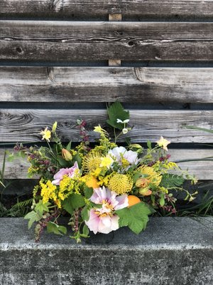 Wildflower & Fern by null