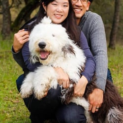1 Love Dog Rescue - Crumpet and his family