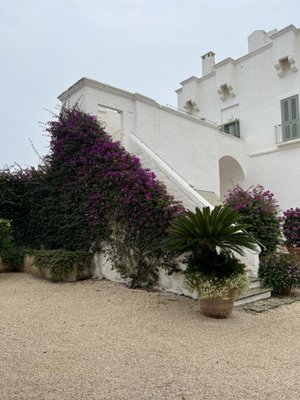 Masseria TORRE COCCARO by null