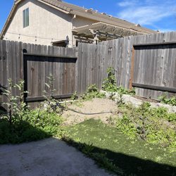 This is the before .. what a weeded mess..