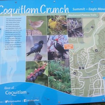 Coquitlam Crunch Trail - Hiking Near Me - Coquitlam, British Columbia