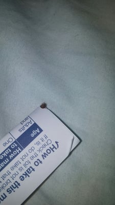 Ravna Gora Hotel by null