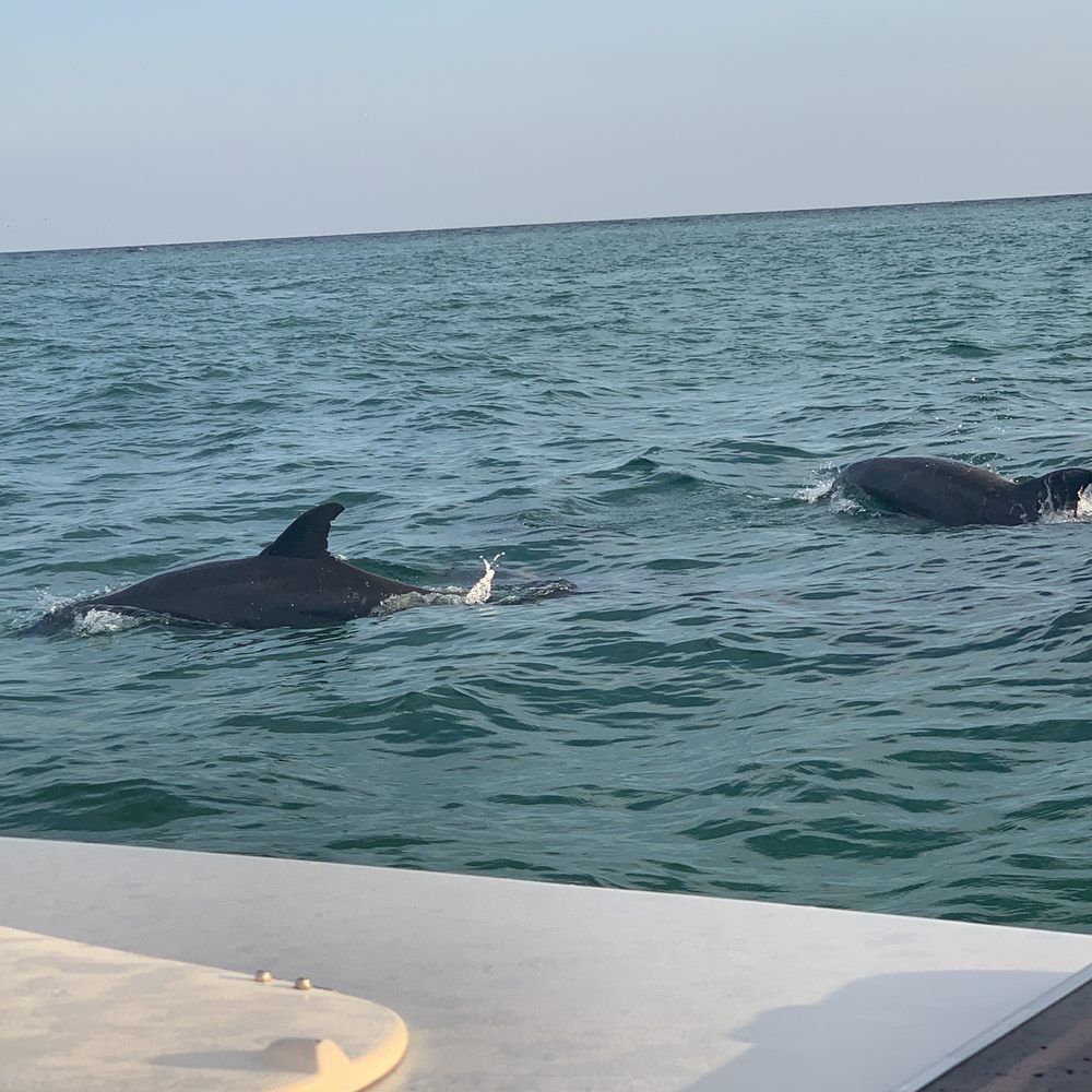 Vitamin Sea Sailing Charters - Boat Tours Near Me - Destin, Florida Vitamin Sea Sailing Charters - Boat Tours Near Me - Destin, Florida