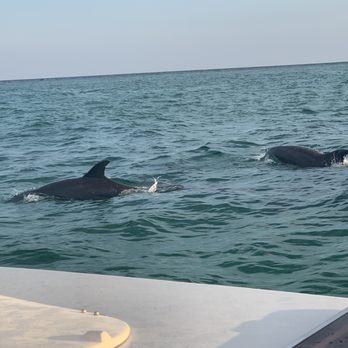 Vitamin Sea Sailing Charters - Boat Tours Near Me - Destin, Florida Vitamin Sea Sailing Charters - Boat Tours Near Me - Destin, Florida