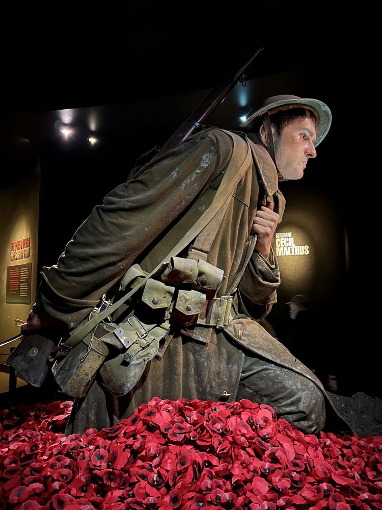 Museum of New Zealand Te Papa Tongarewa