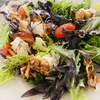 Metro Diner - Side house salad w/ 1 fried chicken patty from fried chicken sandwich cut up and added. - American Near Me - Tampa, Florida Metro Diner - Side house salad w/ 1 fried chicken patty from fried chicken sandwich cut up and added. - American Near Me - Tampa, Florida
