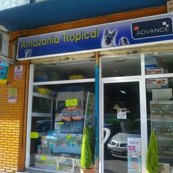 Amazonia Tropical