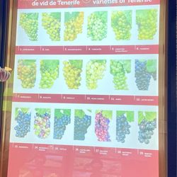Casa del Vino La Baranda - Types of grapes on the island