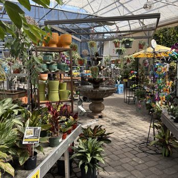 Moana Nursery - Sparks - Planters and plants - Nurseries & Gardening Near Me - Sparks, Nevada Moana Nursery - Sparks - Planters and plants - Nurseries & Gardening Near Me - Sparks, Nevada