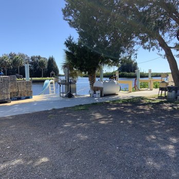 Aripeka Stone Crab Company - a view of a dock and a boat - Seafood Markets Near Me - Spring Hill, Florida