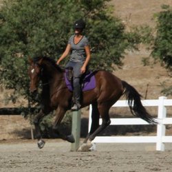 Free Heart Stables - Teaching a horse to balance back on his hind end and stretch instead of running.