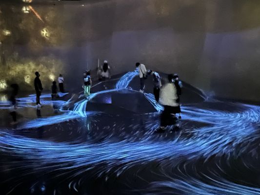 teamLab Borderless: MORI Building DIGITAL ART MUSEUM by null
