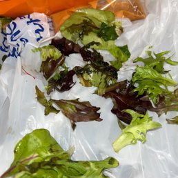 Slimy salad Slimy salad