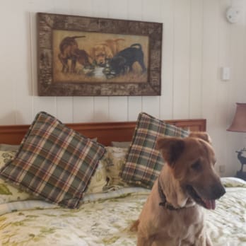 The Homestead Inn - Barney one of our dogs, loved the bed! - Hotels Near Me - Blowing Rock, North Carolina The Homestead Inn - Barney one of our dogs, loved the bed! - Hotels Near Me - Blowing Rock, North Carolina