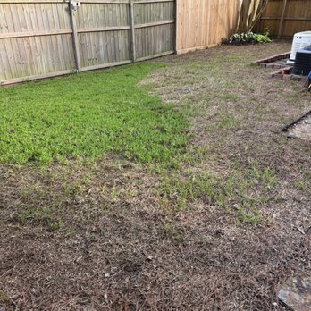 A.D.I Landscaping & Tree Service - Horrible job.  Reported to BBB and contacted sod supplier Cowboy Trucking about warranty grass - Landscaping Near Me - Houston, Texas