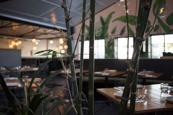 Stray Neighbour Restaurant & Bar Preston by null