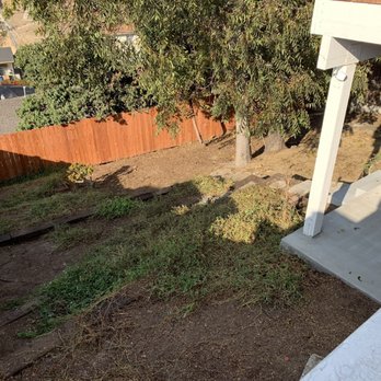 Edwin Deras Lawn and Garden - After - Tree Services Near Me Edwin Deras Lawn and Garden - After - Tree Services Near Me