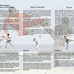 Blue Dragon Tae Kwon Do Academy
