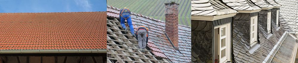 Slide of The American Romani Alliance