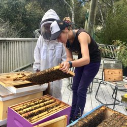 Santa Cruz Bee Company - Emily teaches bees to kids as well!