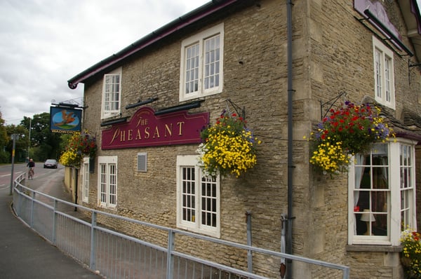 The Pheasant by null