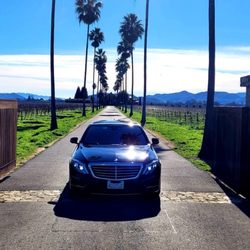 Dynamic Black Car Service - Napa Valley