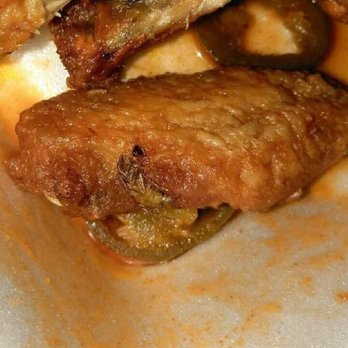 Buffalo Joe's Howard Street - ROACH COOKED IN THE WING - American Near Me - Chicago, Illinois Buffalo Joe's Howard Street - ROACH COOKED IN THE WING - American Near Me - Chicago, Illinois