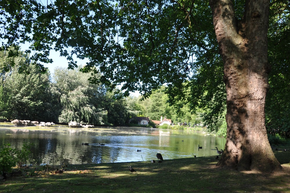 Life Key Counseling and Coaching - grief counselor in Wesley Chapel , FL