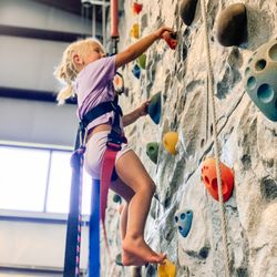 Texas Academy of Gymnastics