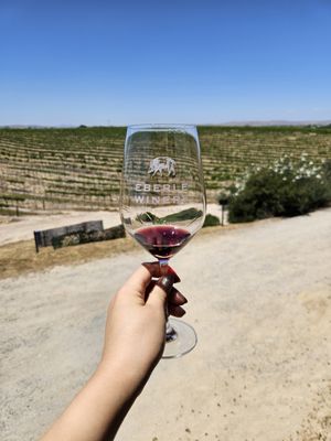 Eberle Winery by null