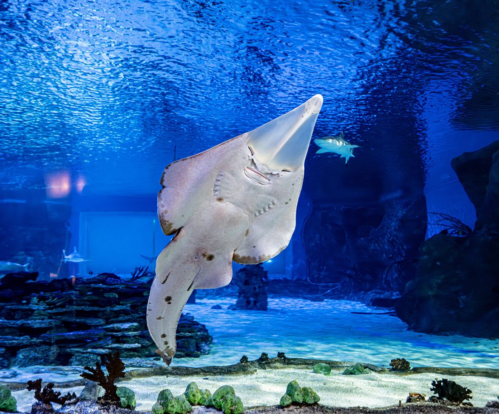 Social spots from Loveland Living Planet Aquarium
